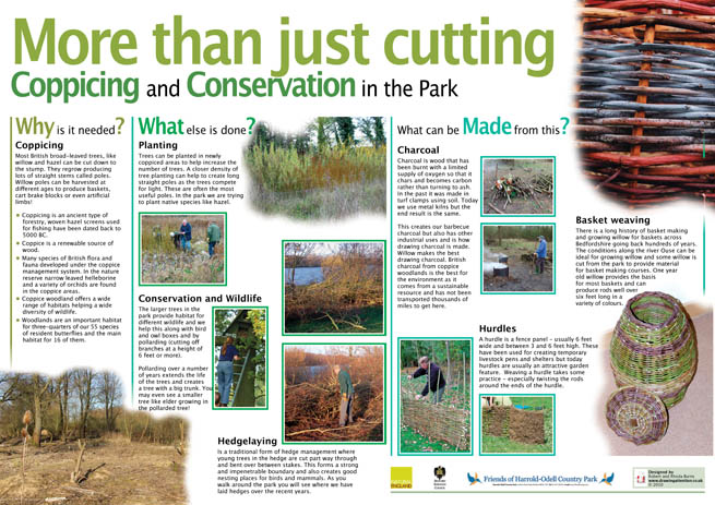Coppicing Information board produced for Bedford Borough Council. Design by Rob Burns